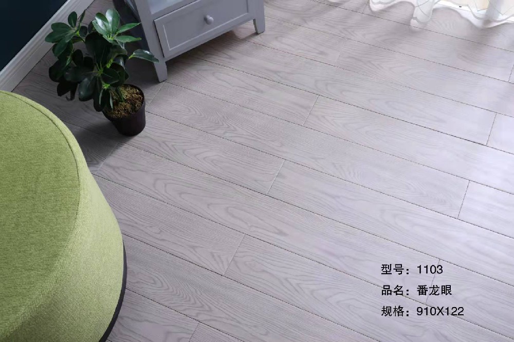 番龙眼1103.jpg