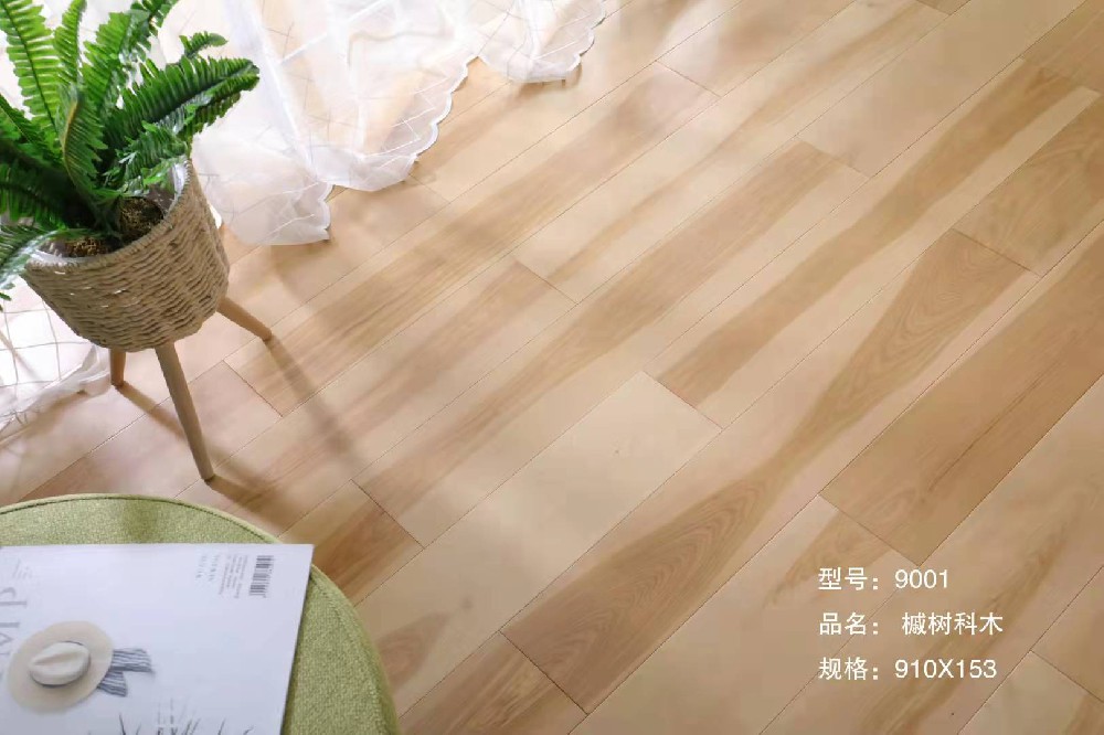 槭树科木9001.jpg