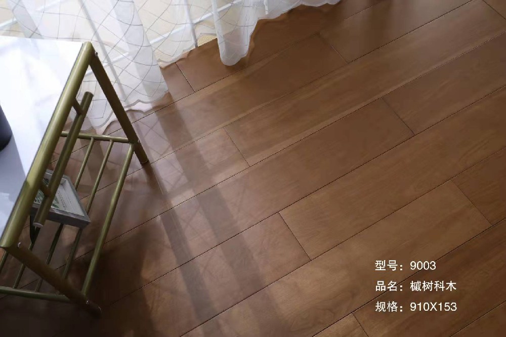 槭树科木9003.jpg