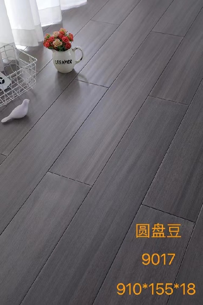 圆盘豆9017